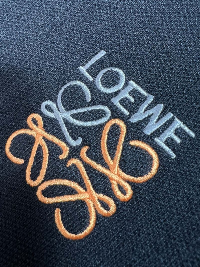 Loewe Sweaters